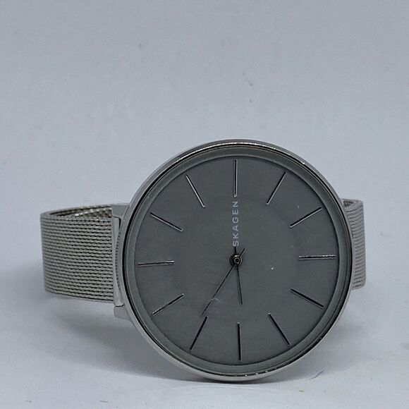 Skagen SKW2691 Women\'s Silver Stainless Steel Analog Dial Quartz Watch EY887